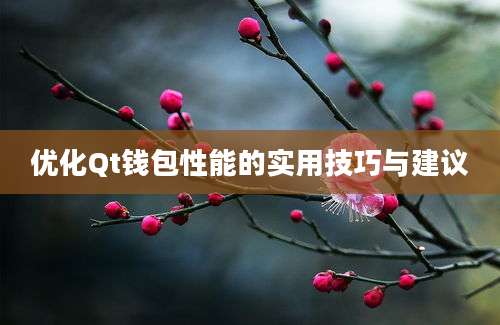 优化Qt钱包性能的实用技巧与建议