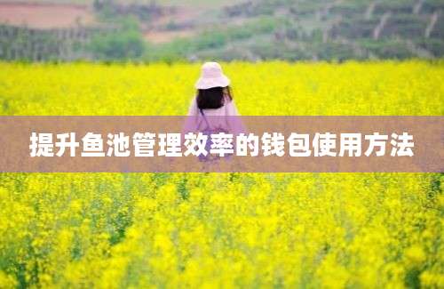 提升鱼池管理效率的钱包使用方法