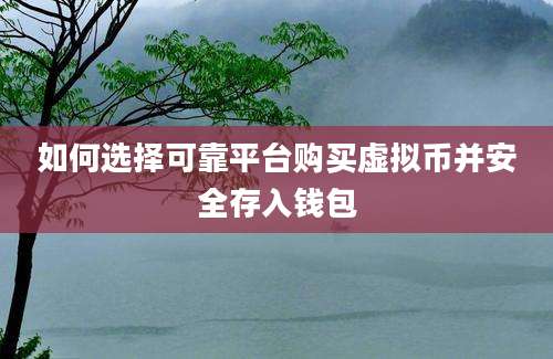 如何选择可靠平台购买虚拟币并安全存入钱包