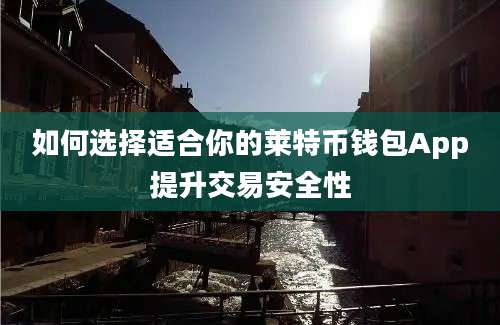 如何选择适合你的莱特币钱包App提升交易安全性