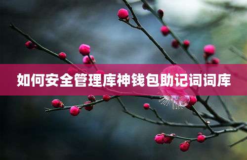 如何安全管理库神钱包助记词词库