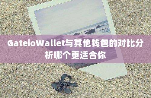 GateioWallet与其他钱包的对比分析哪个更适合你