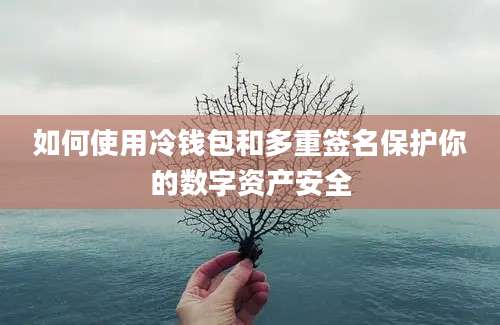 如何使用冷钱包和多重签名保护你的数字资产安全