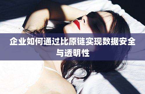 企业如何通过比原链实现数据安全与透明性