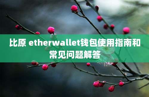 比原 etherwallet钱包使用指南和常见问题解答