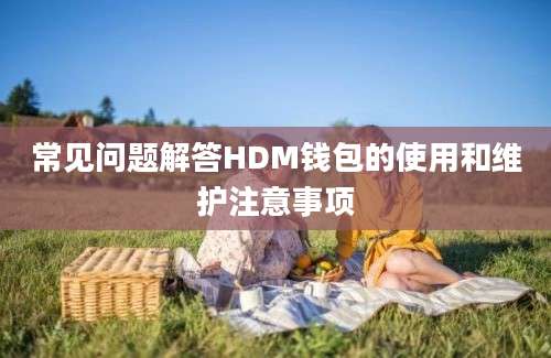 常见问题解答HDM钱包的使用和维护注意事项