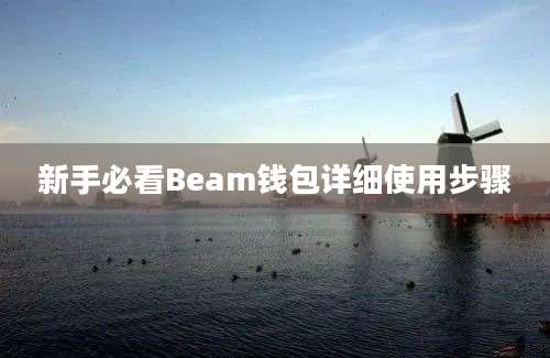 新手必看Beam钱包详细使用步骤