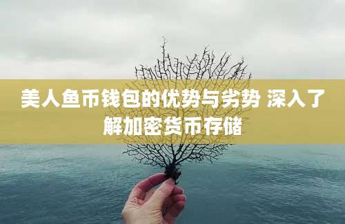 美人鱼币钱包的优势与劣势 深入了解加密货币存储