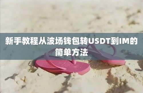 新手教程从波场钱包转USDT到IM的简单方法