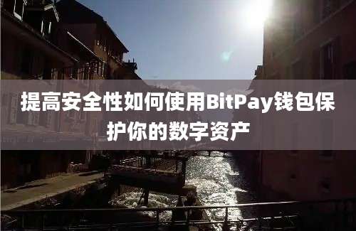 提高安全性如何使用BitPay钱包保护你的数字资产