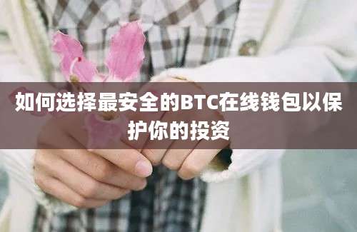 如何选择最安全的BTC在线钱包以保护你的投资