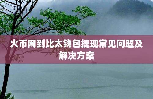 火币网到比太钱包提现常见问题及解决方案