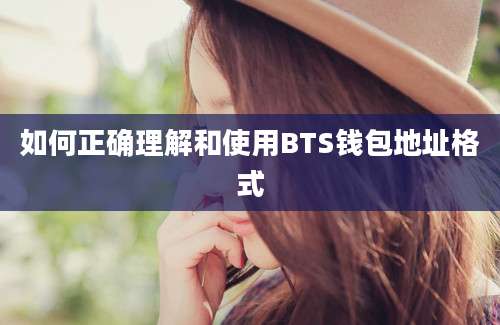 如何正确理解和使用BTS钱包地址格式