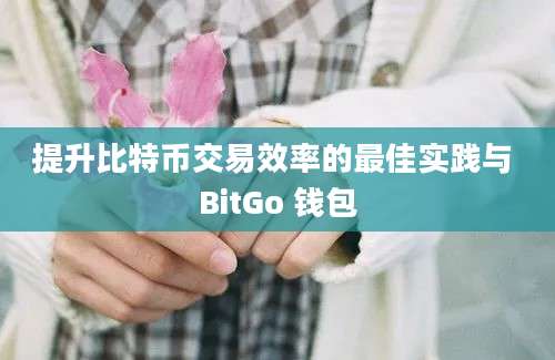 提升比特币交易效率的最佳实践与 BitGo 钱包