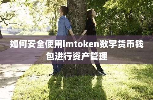 如何安全使用imtoken数字货币钱包进行资产管理