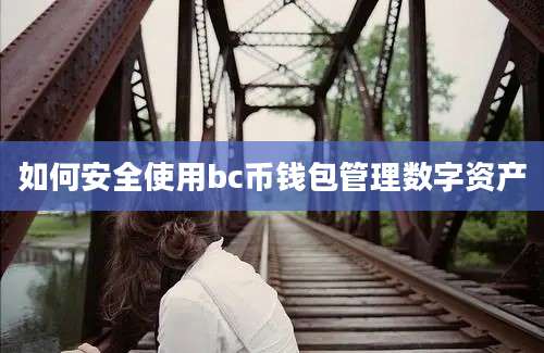 如何安全使用bc币钱包管理数字资产