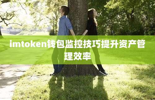 imtoken钱包监控技巧提升资产管理效率