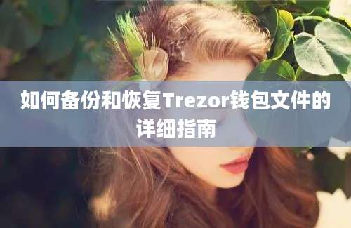 如何备份和恢复Trezor钱包文件的详细指南