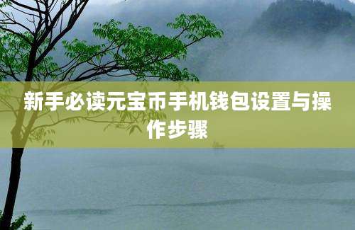 新手必读元宝币手机钱包设置与操作步骤