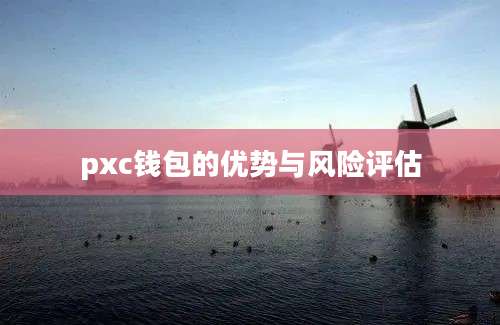 pxc钱包的优势与风险评估