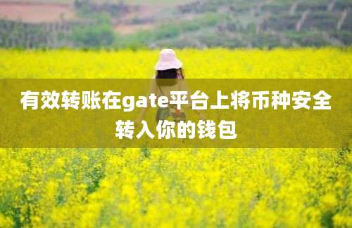 有效转账在gate平台上将币种安全转入你的钱包