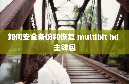 如何安全备份和恢复 multibit hd 主钱包