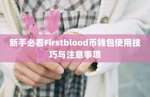 新手必看Firstblood币钱包使用技巧与注意事项