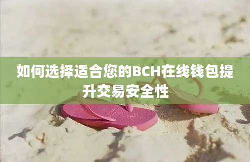 如何选择适合您的BCH在线钱包提升交易安全性