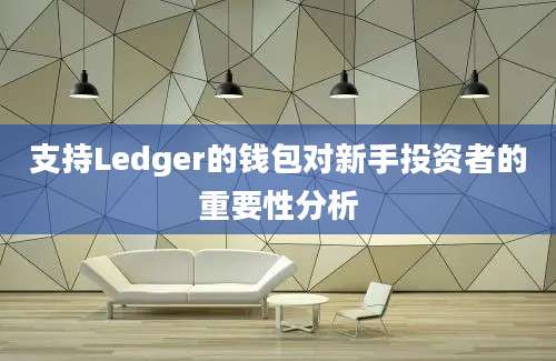 支持Ledger的钱包对新手投资者的重要性分析