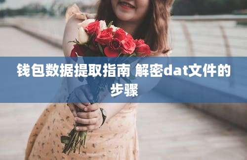 钱包数据提取指南 解密dat文件的步骤